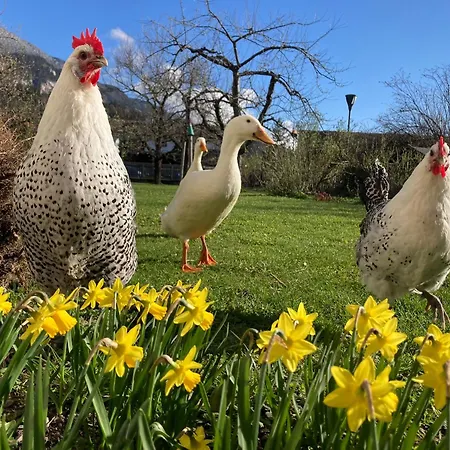 Apartamento Riedhart