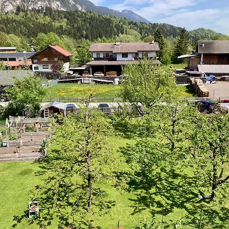 Riedhart * 크람사흐