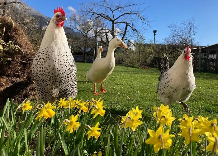 Appartamento Riedhart